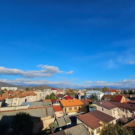 Blue Apartment Mukacheve