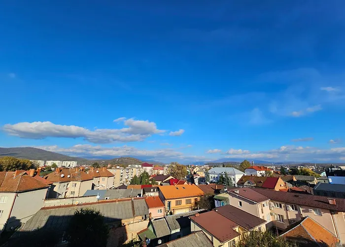 Blue Apartment Mukacheve
